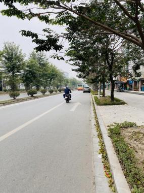 Bán biệt thự Xuân Phương Garden phố Trịnh Văn Bô, Nam Từ Liêm, Hà Nội