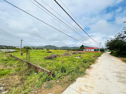 Bán đất tại đường Quốc Lộ 26, Xã Ninh Xuân, Ninh Hòa, Khánh Hòa diện tích 322m2 giá 580 triệu