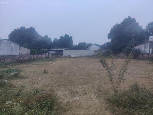 Bán đất tại đường 416, Phường Kim Sơn, Sơn Tây, Hà Nội diện tích 1535m2