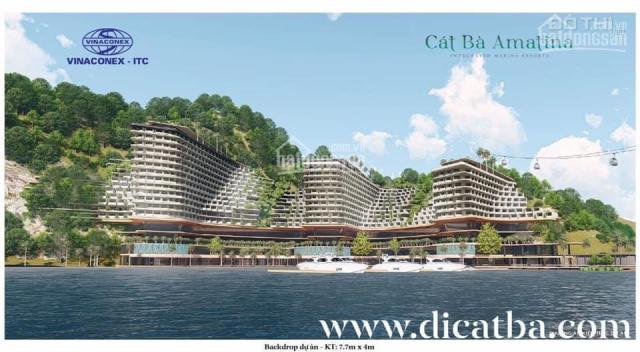 Bán căn biệt thự song lập cát bà Amatina Vinaconex, hải phòng, DT 160m (8x20) bàn giao quý 1/22