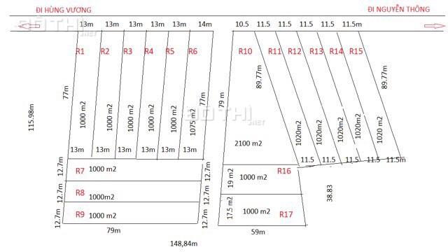 Bán đất 26x77m khu Rừng Vàng - Tân Bình - Thị xã lagi giá chính chủ