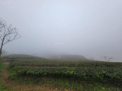Bán mảnh đất DT 1083m2 Chiêng Đi Mộc Châu view đồi chè