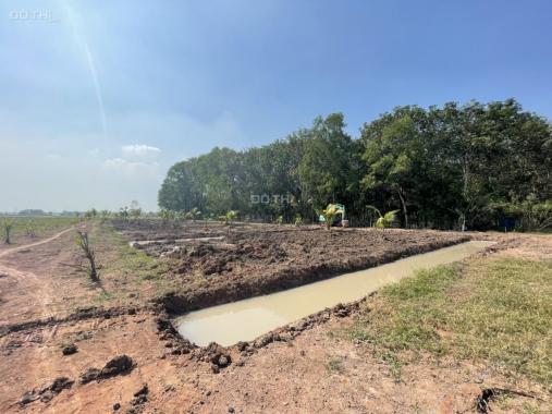 Bán gấp trước tết 1000m2 đất vườn Củ Chi, giá ngộp sổ hồng riêng