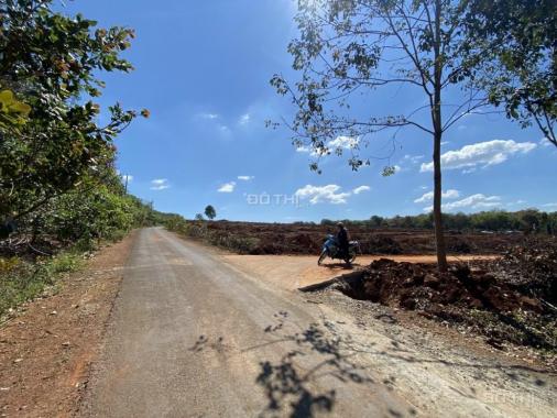 Bán đất tại đường ĐT753, Xã Tân Hưng, Đồng Phú, Bình Phước diện tích 1000m2 giá 650 triệu
