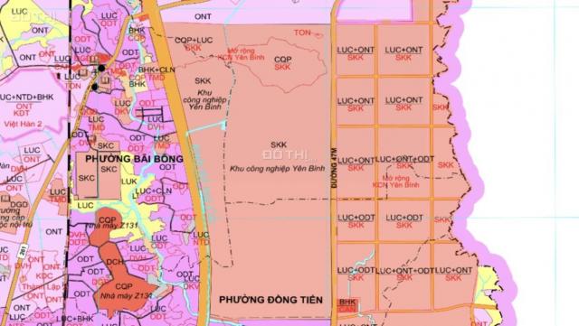 Mở bán 15 lô đất hot nhất đối diện KCN Yên Bình, lợi nhuận x2 sau tết, giá đầu tư