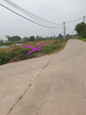 Chính chủ tôi bán gấp lô đất 160m2 tại Tân Trung Ngọc Châu, Tân Yên Bắc Giang