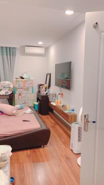 Bán căn hộ 4PN 148m2 chung cư Amber Riverside 622 Minh Khai thông với Times City