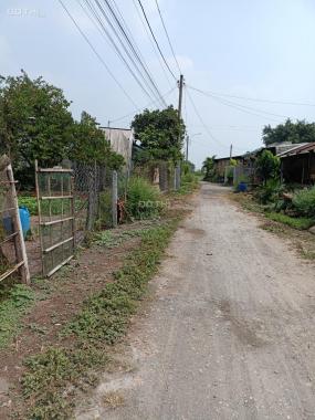 Đất Tân Thạnh Đông gần chợ Chiều 5x19m đường ô tô giá 1,25 tỷ