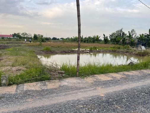 Bán đất tại xã Tam An, Long Thành, Đồng Nai diện tích 4570m2 giá 1.380 triệu/m2