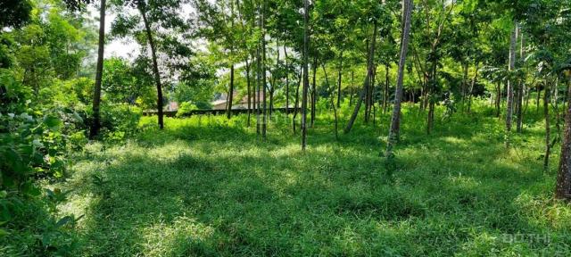 Bán đất tại Xã Xuân Sơn, Sơn Tây, Hà Nội diện tích 2270m2 giá 2.2 triệu/m2