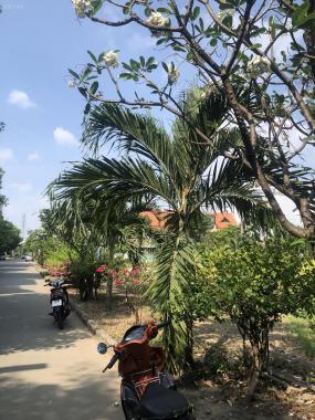 Đất nền vị trí đẹp KDC Nam Long Phú Thuận, Quận 7, giá tốt nhất thị trường, giá 8.1 tỷ