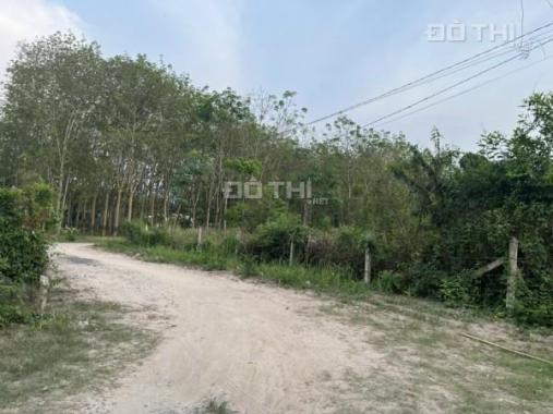 Bán đất tại đường Nguyễn Văn Khạ, Xã Nhuận Đức, Củ Chi, Hồ Chí Minh diện tích 1000m2