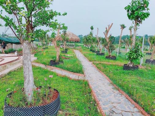 Lô đất vườn 1000m2 sổ riêng ngay trấn Củ Chi