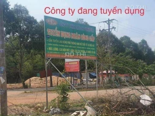 Đất ngân hàng thanh lý nằm ngay cạnh hai khu công nghiệp lớn Bàu Bàng mở rộng và cây trường