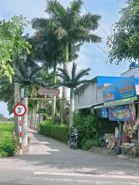 Bán đất xã Đức Tân, Huyện Tân Trụ, Long An giá công nhân 430tr, đường bê tông 2m dt: 5 x 29m