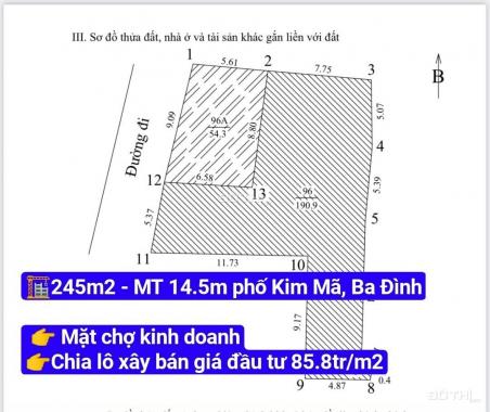 Cần bán mảnh đất chia lô 245m2 - MT 14.5m mặt chợ, kinh doanh giá đầu tư phố Kim Mã, Ba Đình