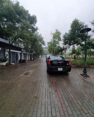 Phân lô ôtô tránh - view công viên - khu đt Ao Sào - Hoàng Mai