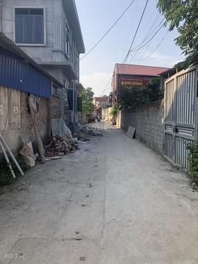 Cực hiếm! Chủ nhà vỡ nợ cần bán nhanh mảnh đất tại xã Đỗ Động, Thanh Oai, 214m2, chỉ 16,5 tr/m2