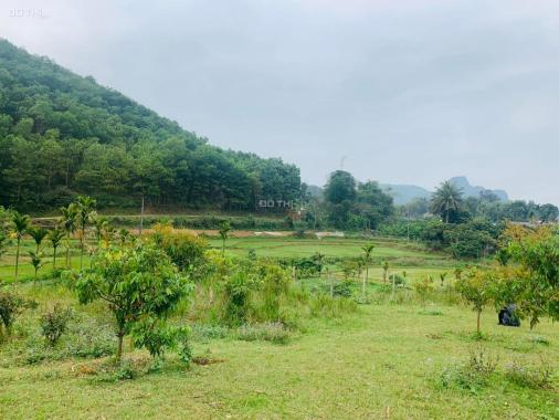 Cần bán đất thổ cư 1630m2 view sông bôi tuyệt đẹp tại Kim Bôi, Hòa Bình