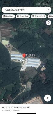 Cần bán trại heo huyện Đức Linh, Bình Thuận. Tổng diện tích 53000 m2