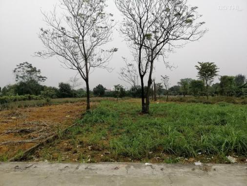Chính chủ gửi bán lô đất tại Yên Thái - Đông Yên - Quốc Oai - Hà Nội diện tích 229m2