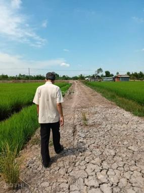 Chính chủ cần bán lô đất đẹp đắc địa tại huyện Đức Hòa tỉnh Long An