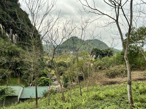 Cần bán gấp lô đất có diện tích 3.253m2 phù hợp làm nghỉ dưỡng tại Cao Sơn, Lương Sơn, Hoà Bình