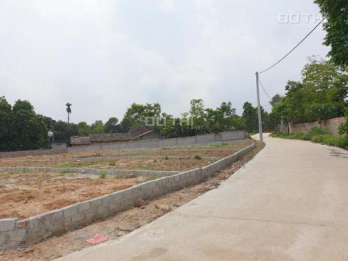 Bán lô đất chính chủ 126m2 Đồng Vàng Phú Mãn Quốc Oai giáp đường 21