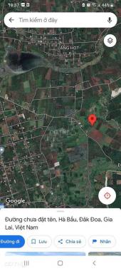Cần bán rẫy cafe tuổi đời 4 năm làng Ring - xã Hà Bầu - Huyện Đăk Đoa - Gia Lai