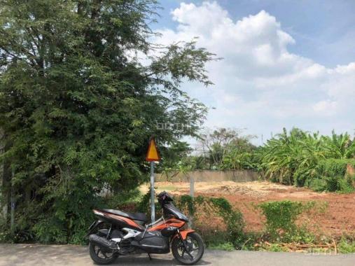 Đất thổ vườn đường Nguyễn Thị Chiên 250m2 giá 2,45 tỷ đường nhựa 8m cực đẹp