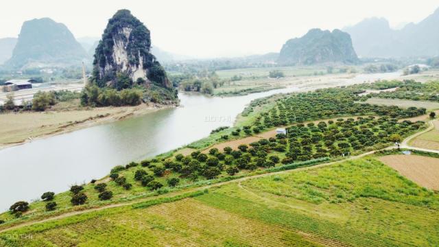 Chuyển nhượng bức tranh 8000m2 tạo hoá ban tặng non nước hữu tình tại Kim Bôi - Hoà Bình