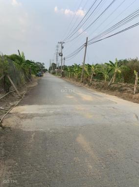 Bán đất lớn 605m2 sổ đỏ tại KDC Chiến Thắng (Trần Cao Nguyên) - Phú Hữu quận 9