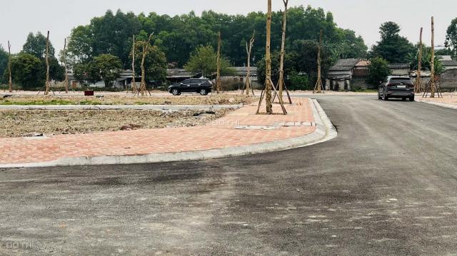 Bán gấp 3,3 tỷ nhà mặt Tỉnh Lộ 284 chân cầu Mỹ Độ Bắc Giang, sổ đỏ vĩnh viễn, thuận tiện kinh doanh