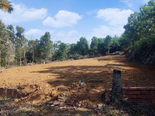 Đất nghỉ dưỡng, nhà vườn 1250m2 lô góc nằm trong quần thể người Hà Nội