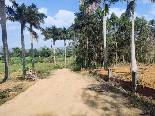 Đất nghỉ dưỡng, nhà vườn 1250m2 lô góc nằm trong quần thể người Hà Nội