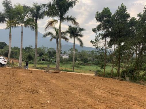 Đất nghỉ dưỡng, nhà vườn 1250m2 lô góc nằm trong quần thể người Hà Nội