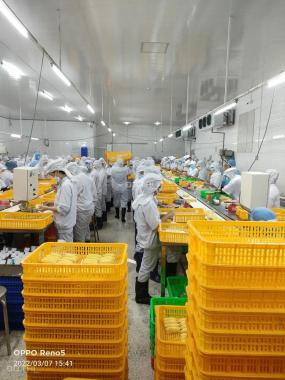 Bán nhà xưởng đường TL865, Mỹ Phước, Tân Phước, Tiền Giang, 3100m2, 15 tỷ