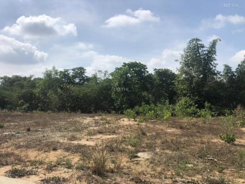 Bán đất Ấp 5 Xã Phước Bình 1357m2, Huyện Long Thành