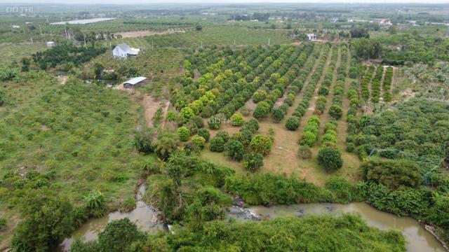 Tôi có 3 nền 1000m2 chỉ 2,1 tỷ đường nhựa 6m gần suối nước nóng Bình Châu, tiện xây nhà vườn