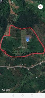 Chính chủ cần bán đất vị trí đẹp ở tỉnh Đắk Nông
