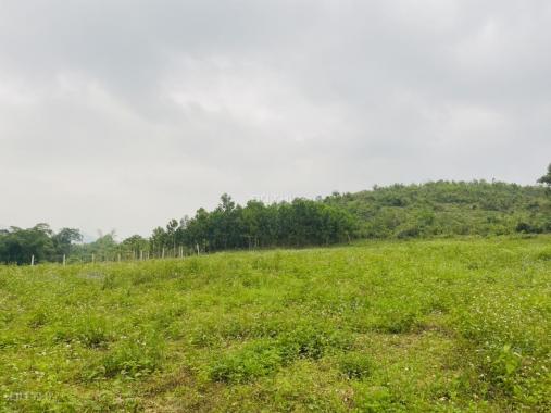 Cần bán 3600m2 đất sẵn thổ cư tại Vĩnh Tiến - Kim Bôi Hòa Bình giá chỉ 890 nghìn/m2
