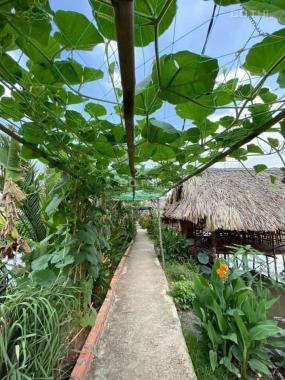 Đất vườn nhà vườn Nhơn Trạch Đồng Nai
