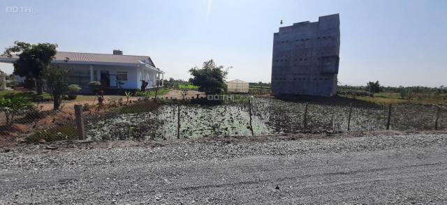 Đất vườn SHR xây nhà tự do, đường 10m, gần KCN Xanh, Việt Phát, Suntec City. Lô góc, giá đầu tư tốt