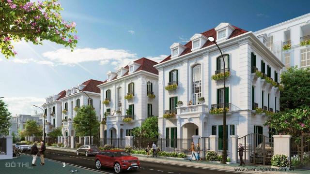 Chuẩn bị mở bán shophouse Avenue Garden, mặt đường 60m, kí hđmb luôn, giá 250 tr/m2, dt 147m2