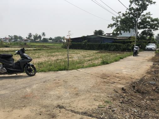 Bán đất KDC Quang Phường hơn 100m2 đất ở có ít đất cây lâu năm giá sụp hầm, đường oto, đã có sổ