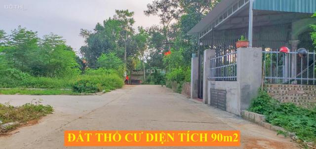 Bán đất chính chủ tại Bình Yên, Hòa Lạc, Thạch Thất, Hà Nội (đường 420)