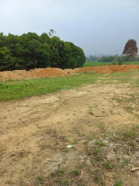 Bán đất tại đường Đại lộ Hòa Bình, Xã Yên Trung, Thạch Thất, Hà Nội diện tích 3200m2 giá 29 tỷ