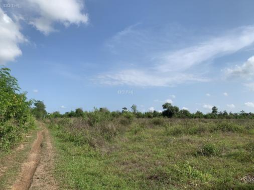 Cần bán gấp 2 mảnh đất liền kề tại Bảo Quang, Long Khánh, Đồng Nai có giá ngộp