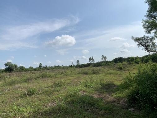 Bán đất tại đường Ruộng Tre - Thọ An, Xã Bảo Quang Long Khánh, Đồng Nai diện tích 14000m2 giá 900tr