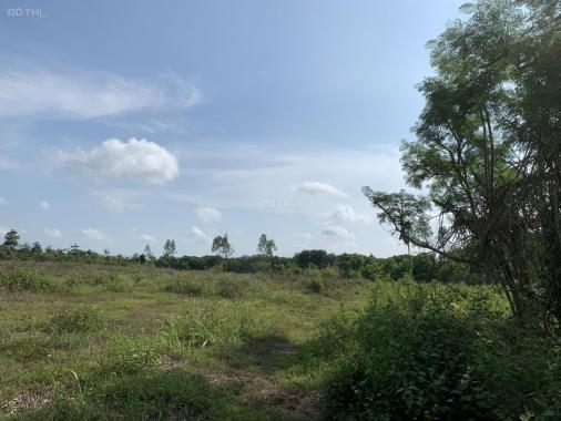 Bán đất tại đường Ruộng Tre - Thọ An, Xã Bảo Quang Long Khánh, Đồng Nai diện tích 14000m2 giá 900tr
